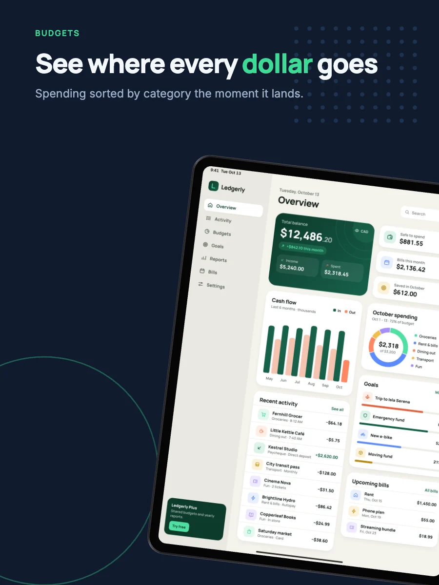 Ledger template on an iPad screenshot